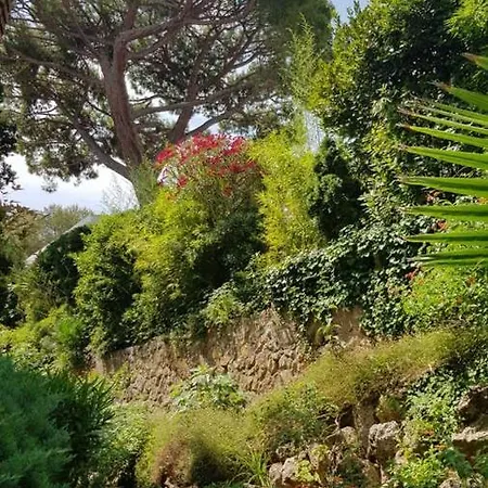 Perle Turquoise 昂蒂布