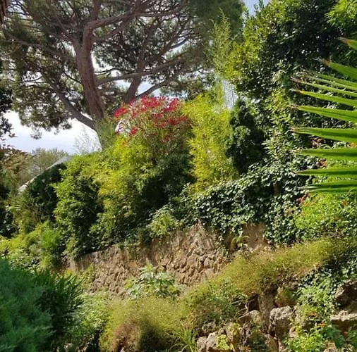 Perle Turquoise Antibes